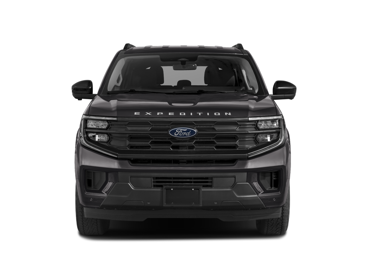 2025 Ford Expedition Active MAX